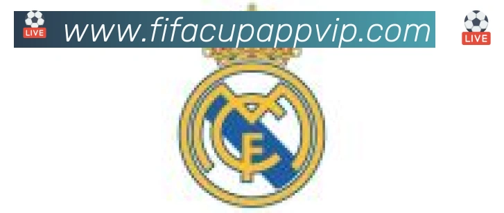 美加墨世界杯APP下载合作伙伴